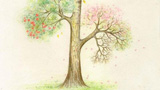 �ҵ�Ը����